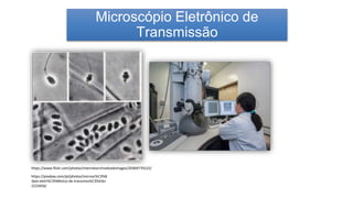 Microscópio Eletrônico de
Transmissão
https://www.flickr.com/photos/77092855@N02/6912948807
https://www.flickr.com/photos/internetarchivebookimages/20369770122/
https://pixabay.com/pt/photos/microsc%C3%B
3pio-eletr%C3%B4nico-de-transmiss%C3%A3o-
2223456/
 