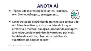 ★ Técnicas de microscopia: corantes, fixadores,
micrótomo, esfregaço, esmagamento.
★ No microscópio eletrônico de transmissão ao invés de
um feixe de elétrons, existe um feixe de luz que
atravessa o material biológico, produzindo a imagem.
Já o microscópio eletrônico de varredura por meio
também de elétrons, observa-se detalhes de
superfícies de objetos sólidos.
https://media1.giphy.com/media/UpJNkPyNsBPw0lXUet/giphy.gif
ANOTA AÍ
 