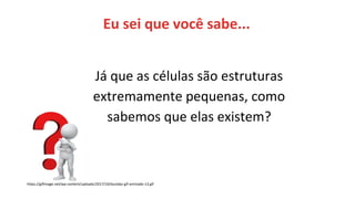 https://gifimage.net/wp-content/uploads/2017/10/duvidas-gif-animado-13.gif
Já que as células são estruturas
extremamente pequenas, como
sabemos que elas existem?
Eu sei que você sabe...
 