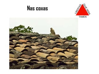 Ficava na rota da estrada real.