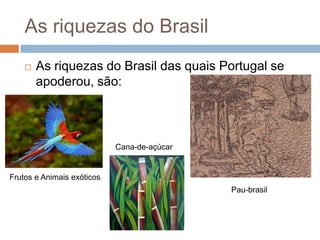 As riquezas do BrasilAs riquezas do Brasil das quais Portugal se apoderou, são:Cana-de-açúcarFrutos e Animais exóticosPau-brasil