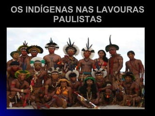 OS INDÍGENAS NAS LAVOURAS PAULISTAS 