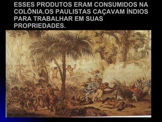 ESSES PRODUTOS ERAM CONSUMIDOS NA COLÔNIA.OS PAULISTAS CAÇAVAM ÍNDIOS PARA TRABALHAR EM SUAS PROPRIEDADES. 