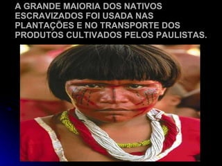 A GRANDE MAIORIA DOS NATIVOS ESCRAVIZADOS FOI USADA NAS PLANTAÇÕES E NO TRANSPORTE DOS PRODUTOS CULTIVADOS PELOS PAULISTAS. 