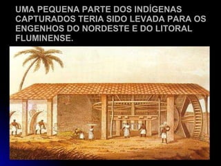 UMA PEQUENA PARTE DOS INDÍGENAS CAPTURADOS TERIA SIDO LEVADA PARA OS ENGENHOS DO NORDESTE E DO LITORAL FLUMINENSE. 