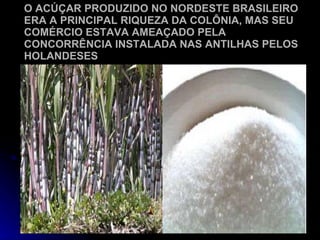 O ACÚÇAR PRODUZIDO NO NORDESTE BRASILEIRO ERA A PRINCIPAL RIQUEZA DA COLÔNIA, MAS SEU COMÉRCIO ESTAVA AMEAÇADO PELA CONCORRÊNCIA INSTALADA NAS ANTILHAS PELOS HOLANDESES 