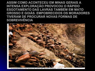 ASSIM COMO ACONTECEU EM MINAS GERAIS A INTENSA EXPLORAÇÃO PROVOCOU O RÁPIDO ESGOTAMENTO DAS LAVRAS TAMBÉM EM MATO GROSSO E GOIÁS. EMPOBRECIDOS OS MORADORES TIVERAM DE PROCURAR NOVAS FORMAS DE SOBREVIVÊNCIA 