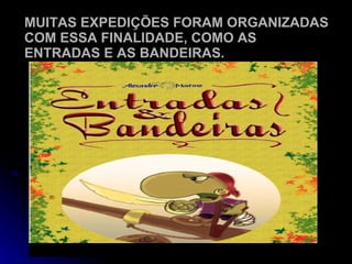 MUITAS EXPEDIÇÕES FORAM ORGANIZADAS COM ESSA FINALIDADE, COMO AS ENTRADAS E AS BANDEIRAS. 