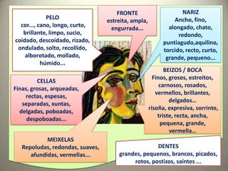 FRONTE                      NARIZ
             PELO                                             Ancho, fino,
                                  estreita, ampla,
  cor..., cano, longo, curto,                               alongado, chato,
                                    engurrada...
   brillante, limpo, sucio,                                     redondo,
coidado, descoidado, rizado,                              puntiagudo,aquilino,
 ondulado, solto, recollido,                              torcido, recto, curto,
    alborotado, mollado,                                   grande, pequeno...
           húmido...
                                                            BEIZOS / BOCA
                                                       Finos, grosos, estreitos,
          CELLAS
                                                          carnosos, rosados,
Finas, grosas, arqueadas,
                                                        vermellos, brillantes,
    rectas, espesas,
                                                              delgados…
   separadas, xuntas,
                                                     risoña, expresiva, sorrinte,
  delgadas, poboadas,
                                                         triste, recta, ancha,
     despoboadas...
                                                          pequena, grande,
                                                              vermella…
            MEIXELAS
   Repoludas, redondas, suaves,                     DENTES
      afundidas, vermellas...         grandes, pequenos, brancos, picados,
                                           rotos, postizos, saíntes ...
 
