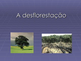 A desflorestação
 