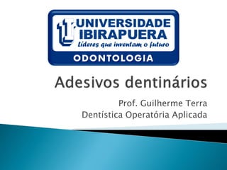 Prof. Guilherme Terra
Dentística Operatória Aplicada
 