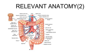RELEVANT ANATOMY(2)
 