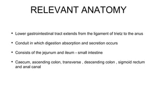 RELEVANT ANATOMY
• Lower gastrointestinal tract extends from the ligament of trietz to the anus
• Conduit in which digestion absorption and secretion occurs
• Consists of the jejunum and ileum - small intestine
• Caecum, ascending colon, transverse , descending colon , sigmoid rectum
and anal canal
 