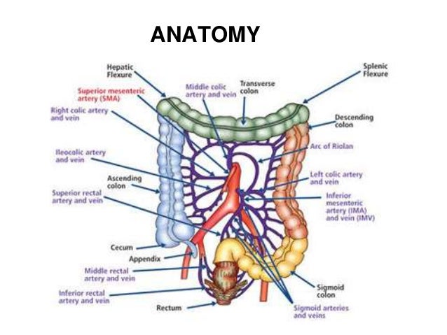 Adesiyakan sigmoid volvulus diagram of volvulus 