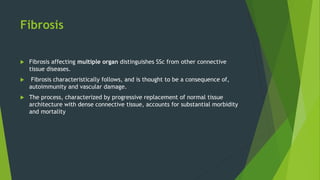 Fibrosis
 Fibrosis affecting multiple organ distinguishes SSc from other connective
tissue diseases.
 Fibrosis characteristically follows, and is thought to be a consequence of,
autoimmunity and vascular damage.
 The process, characterized by progressive replacement of normal tissue
architecture with dense connective tissue, accounts for substantial morbidity
and mortality
 
