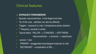Clinical features
 RAYNAUD’S PHENOMENON:
 Episodic vasoconstriction in the fingers and toes.
 Tip of the nose , earlobes can also be affected.
 Triggers – exposure to cold, temperature,stress,vibration.
  frequency ,severity in winter.
 Typical attack : PALLOR  CYANOSIS  ERYTHEMA.
 Vasoconstriction  ischemia  reperfusion.
 women > men
 PRIMARY –exaggerated physiological response to cold.
 SECONDARY --complication of SSc…
 