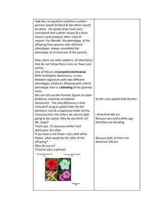 look like, he would've said that a certain
percent would be black & the others would
be white. He would never have even
considered that a white mouse & a black
mouse could produce other color of
mouse! For Mendel, the phenotype of the
offspring from parents with different
phenotypes always resembled the
phenotype of at least one of the parents.
Now, there are other patterns of inheritance
that do not follow these rules as I have said
earlier.
One of these is incomplete dominance.
With incomplete dominance, a cross
between organisms with two different
phenotypes produces offspring with a third
phenotype that is a blending of the parental
traits.
We can still use the Punnett Square to solve
problems involving incomplete
dominance. The only difference is that
instead of using a capital letter for the
dominant trait & a lowercase letter for the
recessive trait, the letters we use are both
going to be capital. Why do you think so?
Mr. Gapo?
Thank you. It’s because neither trait
dominates the other.
If you have a red flower cross with white
flower, what would be the color of the
offspring?
Why do say so?
(Teacher post a picture)
So the cross would look like this:
I think Pink Ma’am.
Because you said a while ago
that they are blending.
Because both of them are
dominant Ma’am.
 