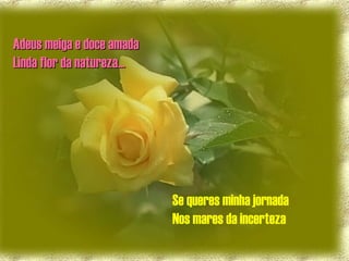 Adeus meiga e doce amadaAdeus meiga e doce amada
Linda flor da natureza...Linda flor da natureza...
Se queres minha jornada
Nos mares da incerteza
 