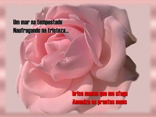 Um mar na tempestadeUm mar na tempestade
Naufragando na tristeza...Naufragando na tristeza...
brisa mansa que me afagabrisa mansa que me afaga
Ameniza os prantos meusAmeniza os prantos meus
 