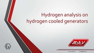 Hydrogen analysis on
hydrogen cooled generators
www.adev.it info@adev.it
 