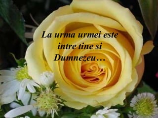 La urma urmei este intre tine si Dumnezeu… 