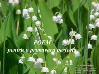 POEM pentru o primavara perfecta Acest poem este scris de Maica Teresa si este gravat pe zidul Casei de copii din Calcuta. 