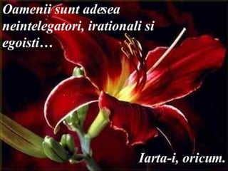 Oamenii sunt adesea  neintelegatori, irationali si  egoisti… Iarta-i, oricum. 