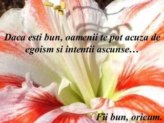 Daca esti bun, oamenii te pot acuza de egoism si intentii ascunse… Fii bun, oricum. 
