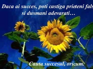 Daca ai succes, poti castiga prieteni falsi si dusmani adevarati… Cauta succesul, oricum. 