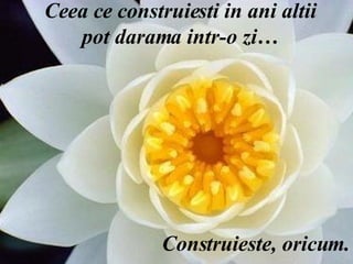 Ceea ce construiesti in ani altii pot darama intr-o zi… Construieste, oricum. 