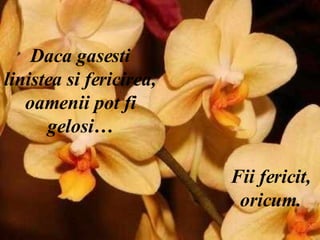 Daca gasesti linistea si fericirea, oamenii pot fi gelosi… Fii fericit, oricum. 