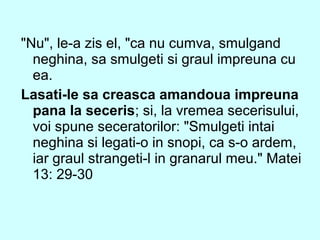"Nu", le-a zis el, "ca nu cumva, smulgand
neghina, sa smulgeti si graul impreuna cu
ea.
Lasati-le sa creasca amandoua impreuna
pana la seceris; si, la vremea secerisului,
voi spune seceratorilor: "Smulgeti intai
neghina si legati-o in snopi, ca s-o ardem,
iar graul strangeti-l in granarul meu." Matei
13: 29-30
 