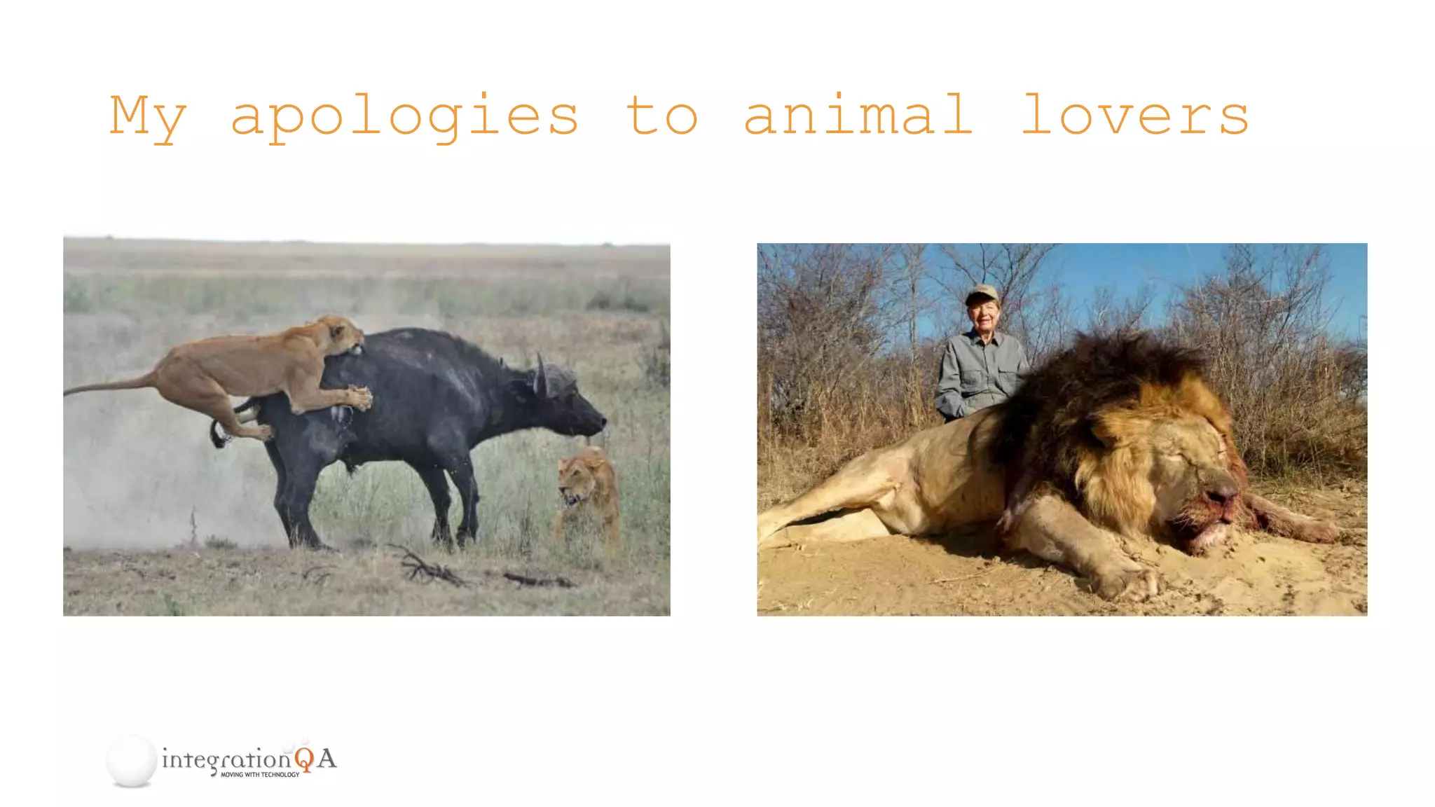 My apologies to animal lovers
 