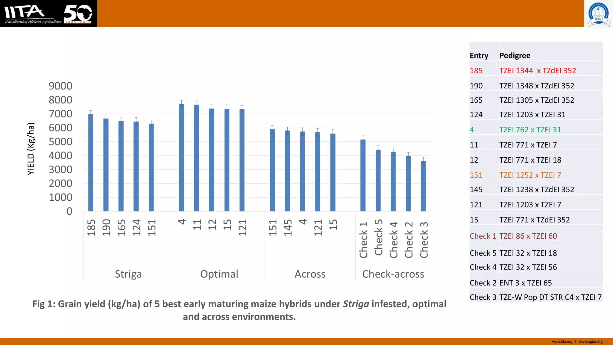 Grain yield performance and stability of early maturing maize hybrids ...