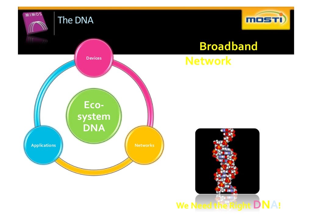 The DNA Broadband Devices Network