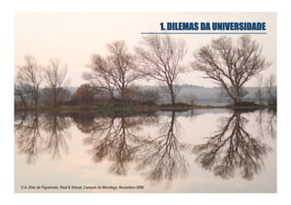 1. DILEMAS DA UNIVERSIDADE

© A. Dias de Figueiredo, Real & Virtual, Campos do Mondego, Novembro 2006

 