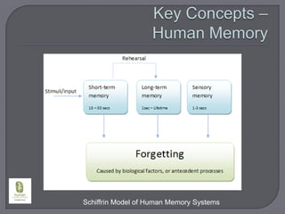 Key Concepts – Human MemorySchiffrin Model of Human Memory Systems