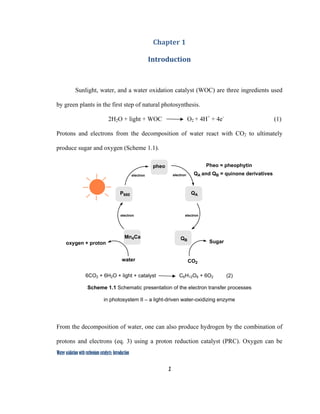 1
 
Water oxidation with ruthenium catalysts: Introduction
Chapter 1 
Introduction 
Sunlight, water, and a water oxidation catalyst (WOC) are three ingredients used
by green plants in the first step of natural photosynthesis.
2H2O + light + WOC O2 + 4H+
+ 4e-
(1)
Protons and electrons from the decomposition of water react with CO2 to ultimately
produce sugar and oxygen (Scheme 1.1).
Pheo = pheophytin
QA and QB = quinone derivatives
CO2
P680 QA
oxygen + proton
water
pheo
QB
Sugar
Mn4Ca
electron
electron electron
electron
6CO2 + 6H2O + light + catalyst C6H12O6 + 6O2 (2)
Scheme 1.1 Schematic presentation of the electron transfer processes
in photosystem II – a light-driven water-oxidizing enzyme
From the decomposition of water, one can also produce hydrogen by the combination of
protons and electrons (eq. 3) using a proton reduction catalyst (PRC). Oxygen can be
 