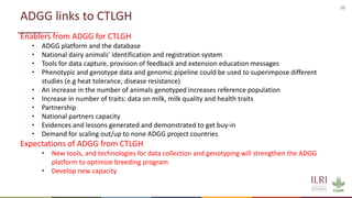 African Dairy Genetic Gains Project Overview