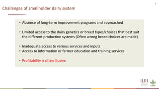 African Dairy Genetic Gains Project Overview