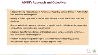 African Dairy Genetic Gains Project Overview