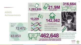 African Dairy Genetic Gains Project Overview