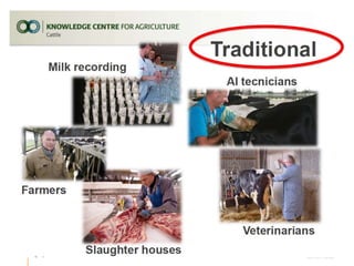 Performance recording and bull evaluation: Contrasting experiences