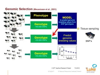 Performance recording and bull evaluation: Contrasting experiences