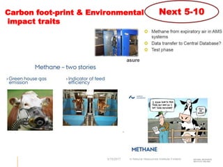 Performance recording and bull evaluation: Contrasting experiences