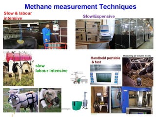 Performance recording and bull evaluation: Contrasting experiences
