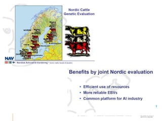 Performance recording and bull evaluation: Contrasting experiences
