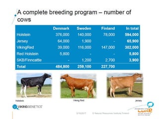 Performance recording and bull evaluation: Contrasting experiences