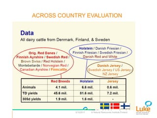 Performance recording and bull evaluation: Contrasting experiences