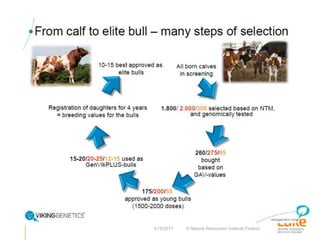 Performance recording and bull evaluation: Contrasting experiences